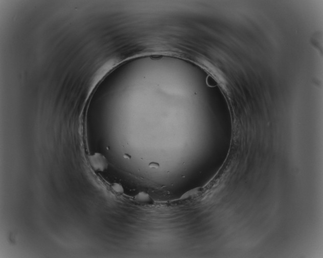 X0000093380907200710191132