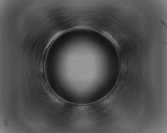 X0000093380908200710191132