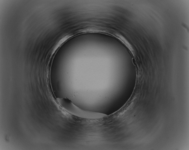 X0000093380909200710191132