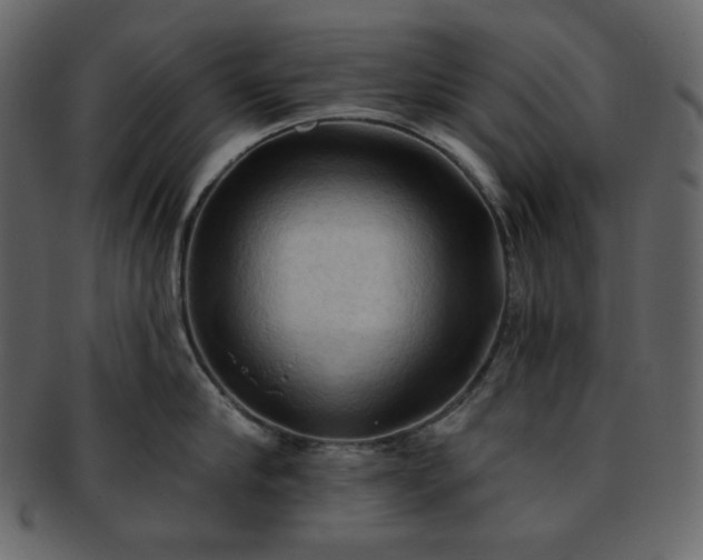 X0000093380910200710191132