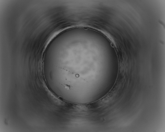 X0000093380911200710191132