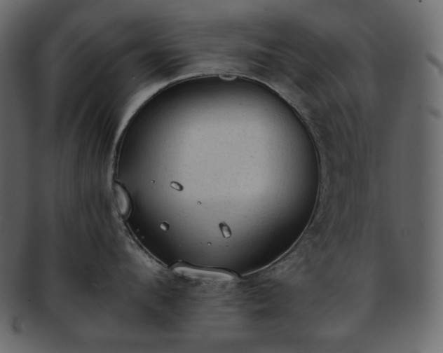 X0000093380912200710191132