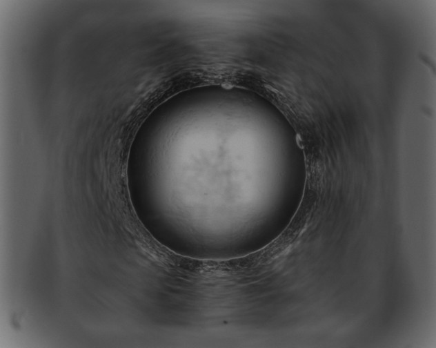 X0000093380913200710191132