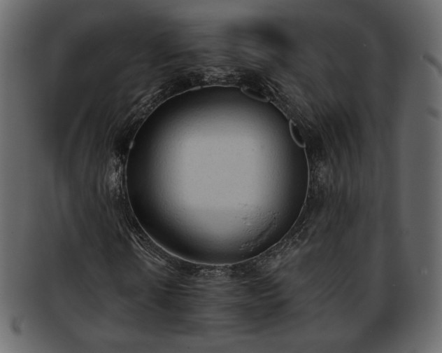 X0000093380914200710191132