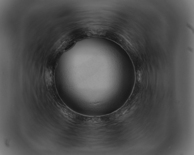 X0000093380915200710191132