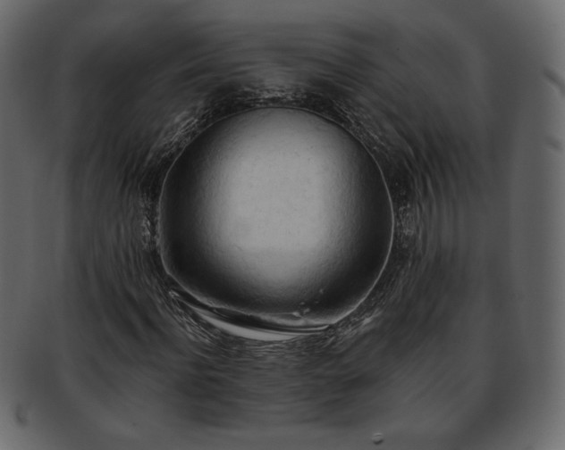 X0000093380916200710191132