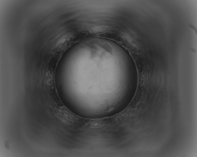 X0000093380917200710191132