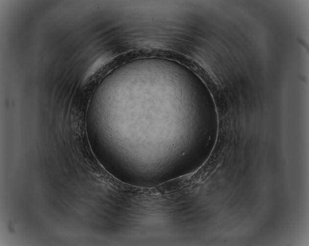 X0000093380919200710191132