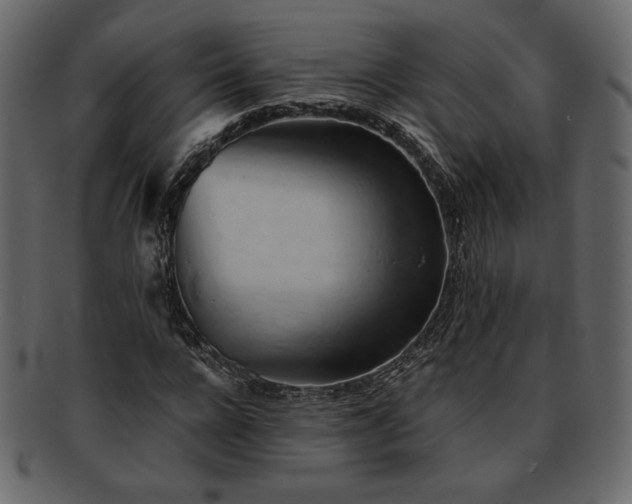 X0000093380920200710191132