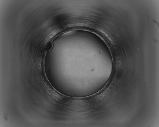 X0000093380921200710191132