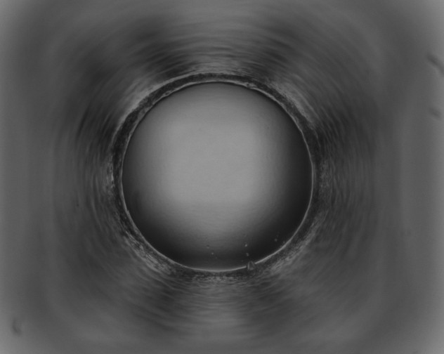 X0000093380923200710191132