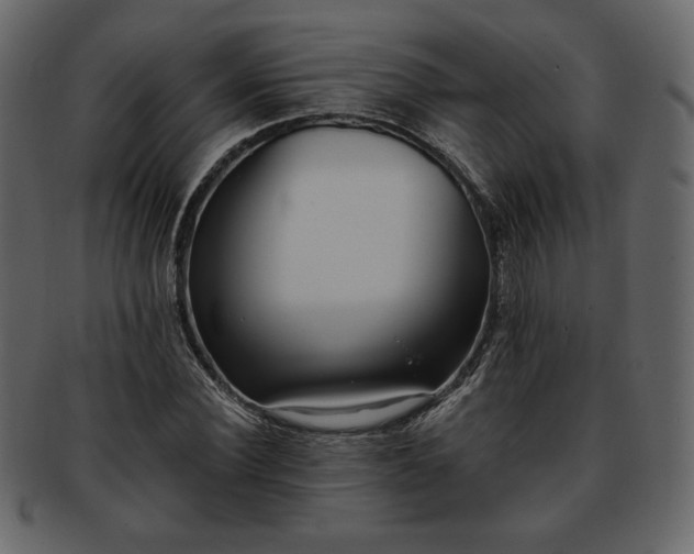 X0000093380924200710191132