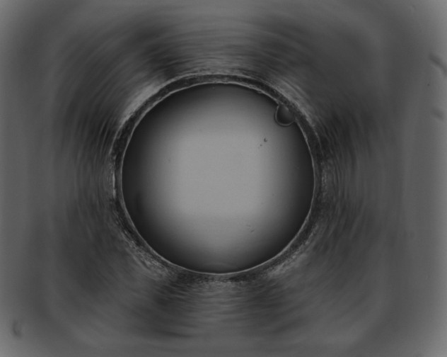 X0000093380925200710191132