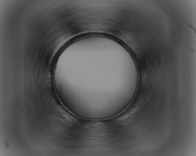 X0000093380926200710191132