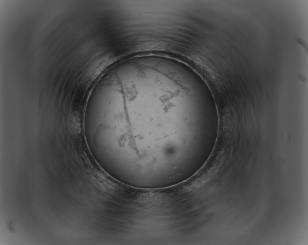 X0000093380929200710191132