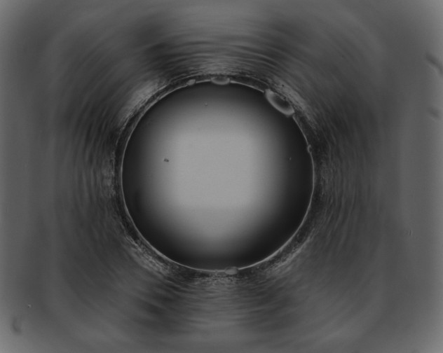 X0000093380930200710191132