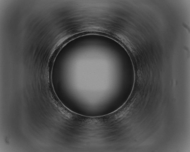 X0000093380931200710191132