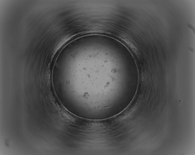 X0000093380933200710191132