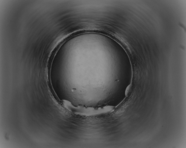 X0000093380935200710191132