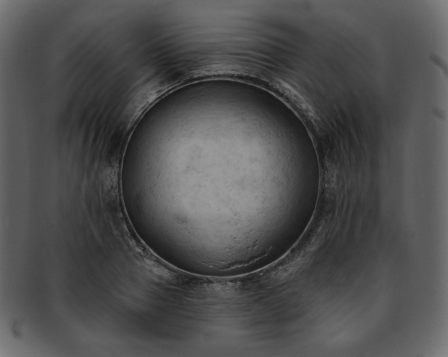 X0000093380937200710191132