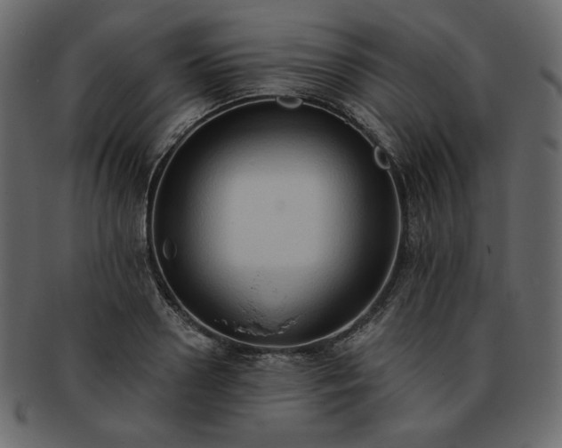 X0000093380938200710191132