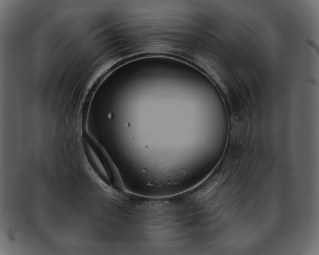 X0000093380939200710191132