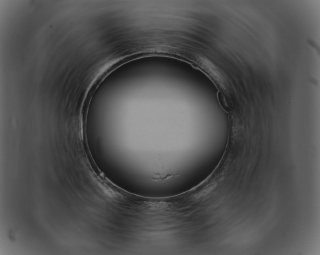 X0000093380940200710191132