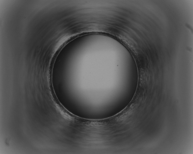 X0000093380942200710191132