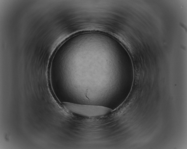 X0000093380943200710191132