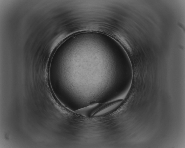 X0000093380944200710191132