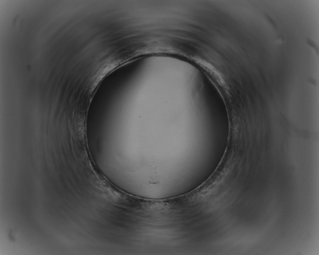 X0000093380945200710191132