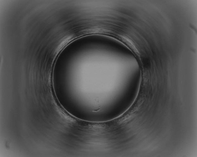 X0000093380946200710191132