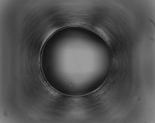 X0000093380948200710191132