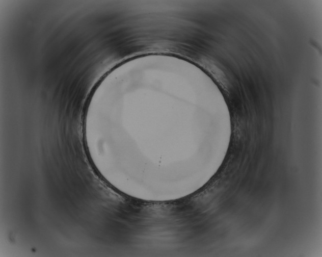 X0000093380950200710191132