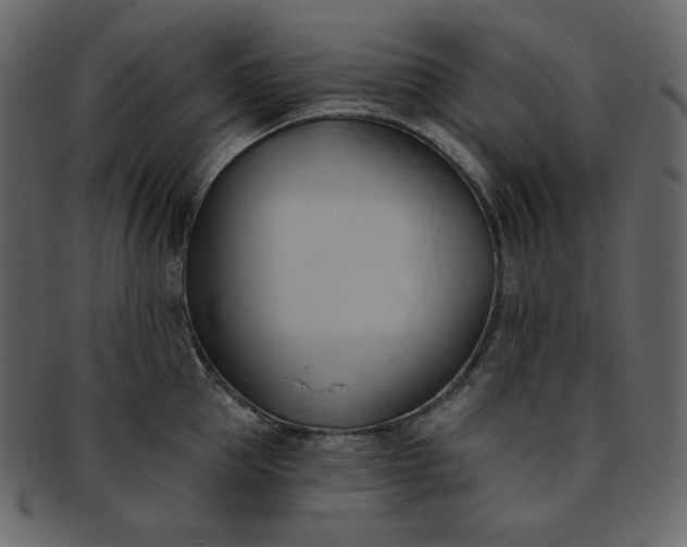 X0000093380953200710191132