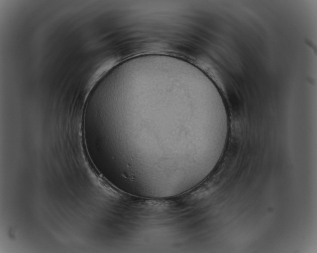 X0000093380954200710191132