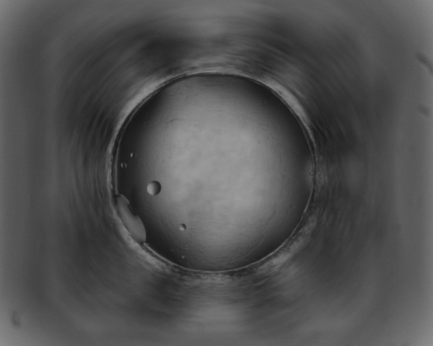 X0000093380957200710191132