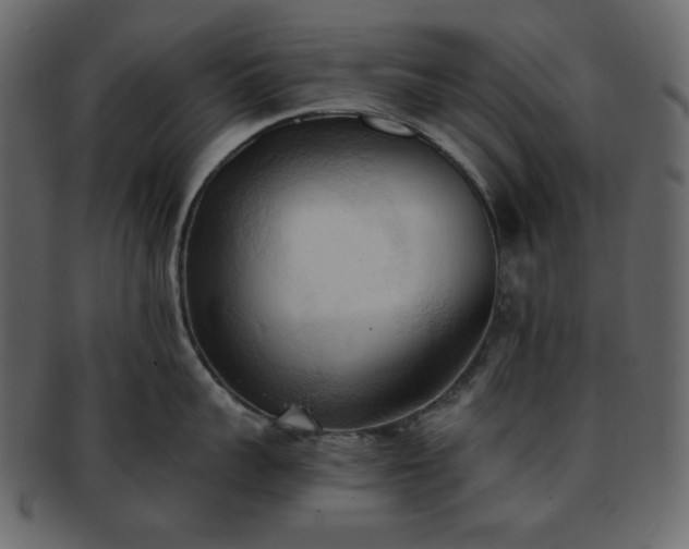 X0000093380959200710191132