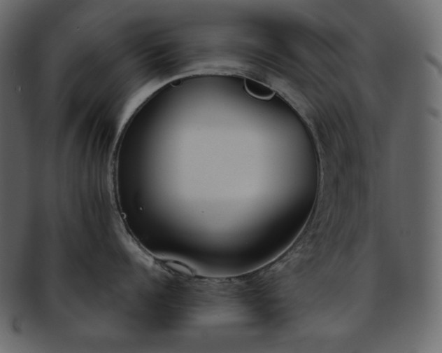 X0000093380960200710191132