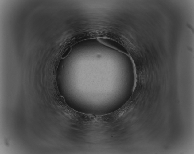 X0000093380961200710191132