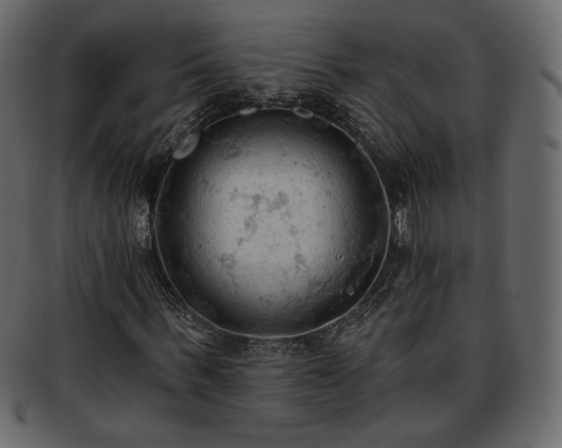 X0000093380963200710191132