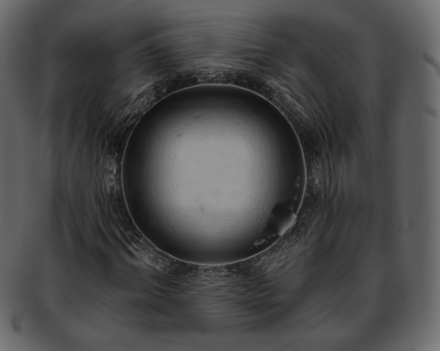 X0000093380964200710191132