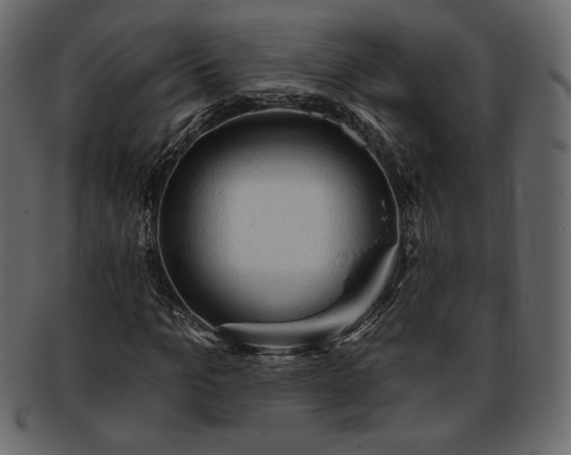 X0000093380965200710191132