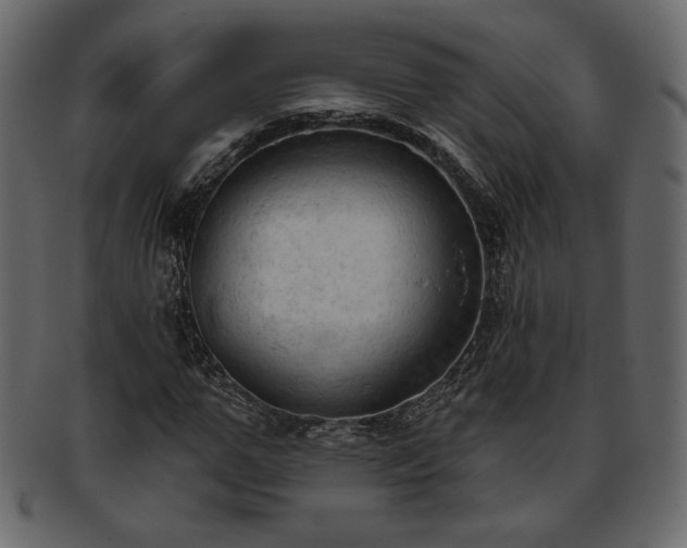 X0000093380967200710191132