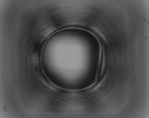 X0000093380969200710191132