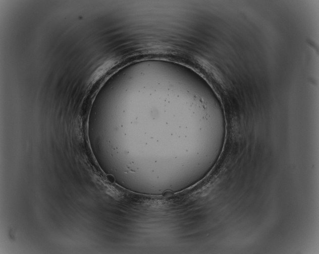 X0000093380970200710191132