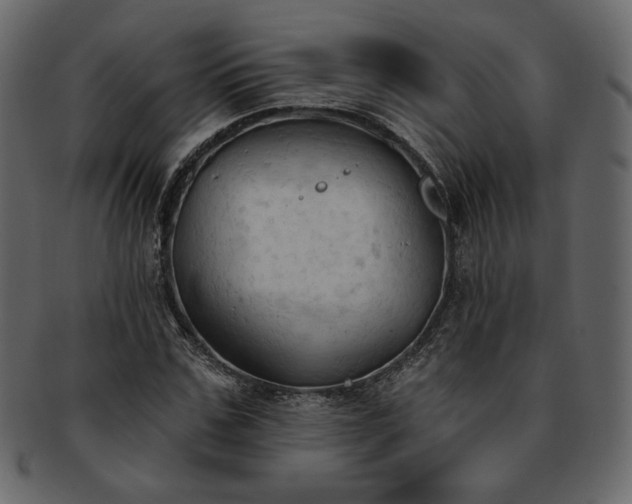 X0000093380971200710191132