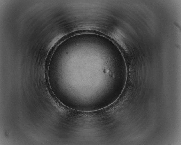 X0000093380972200710191131