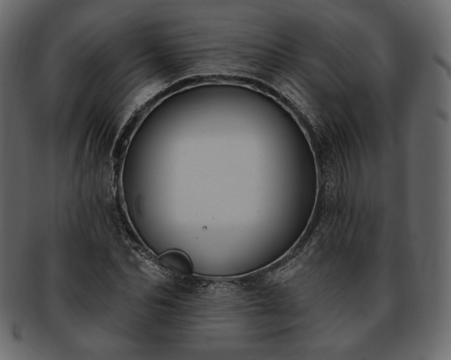 X0000093380974200710191131