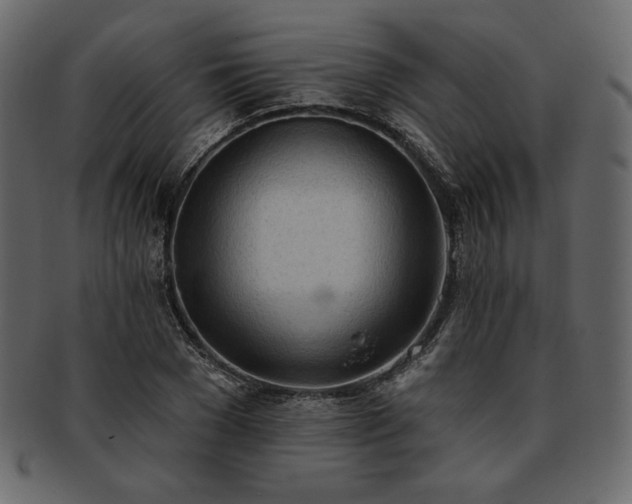 X0000093380977200710191131